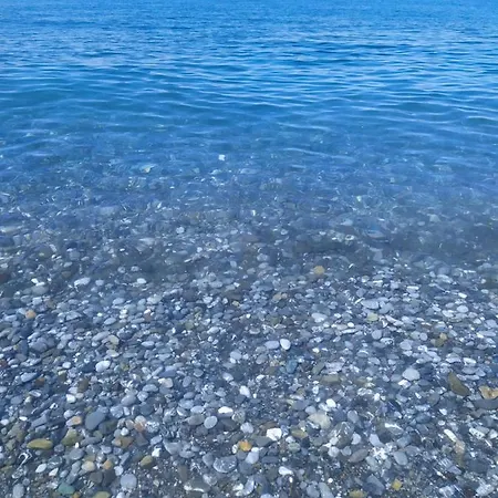 Ippocampo *