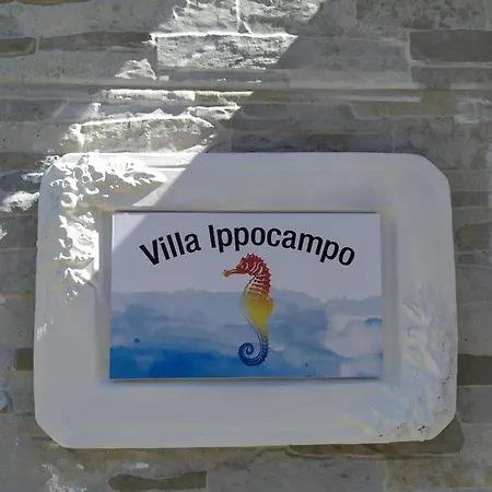 Ippocampo Praia a Mare
